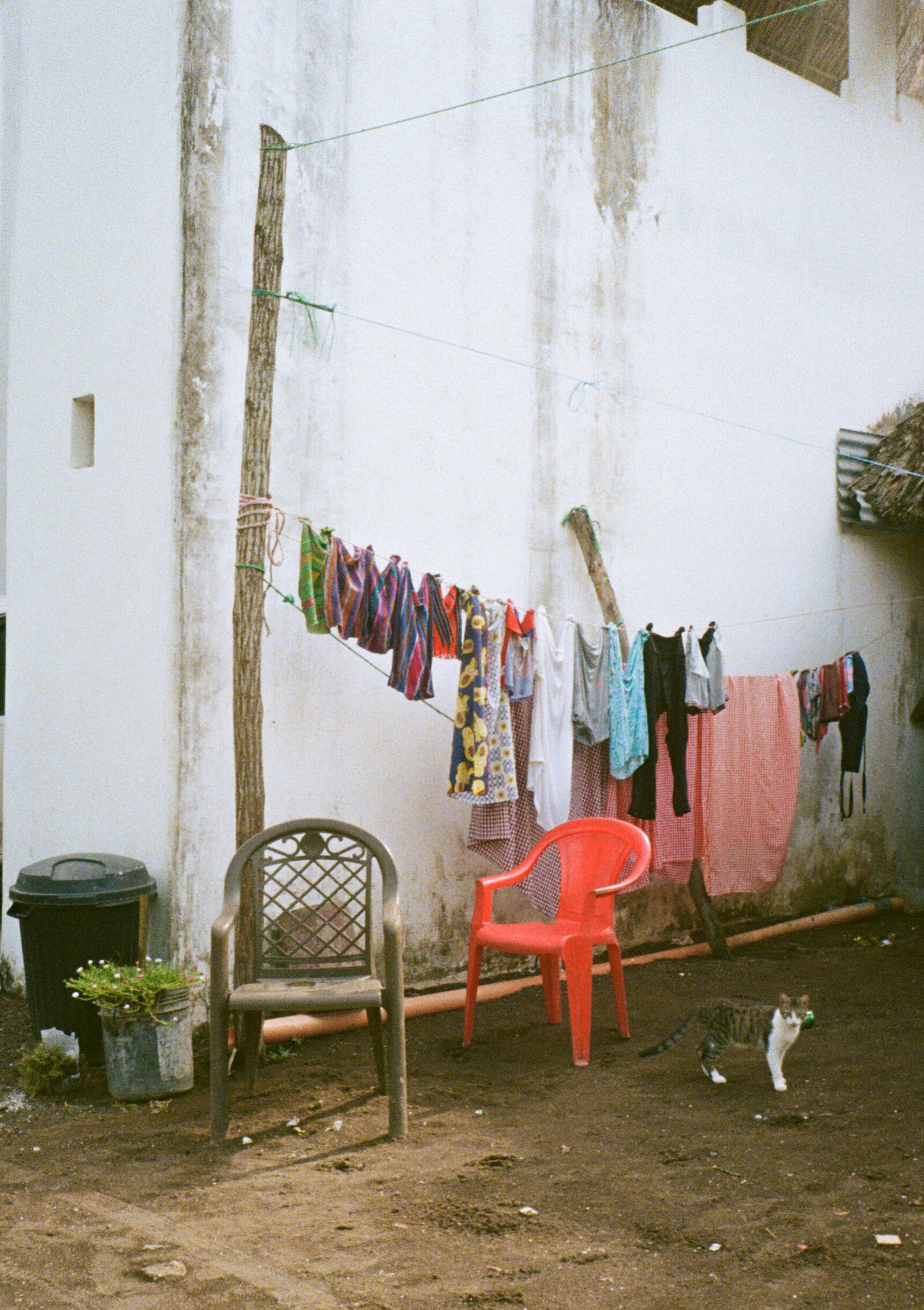 guatey_halfframe-56