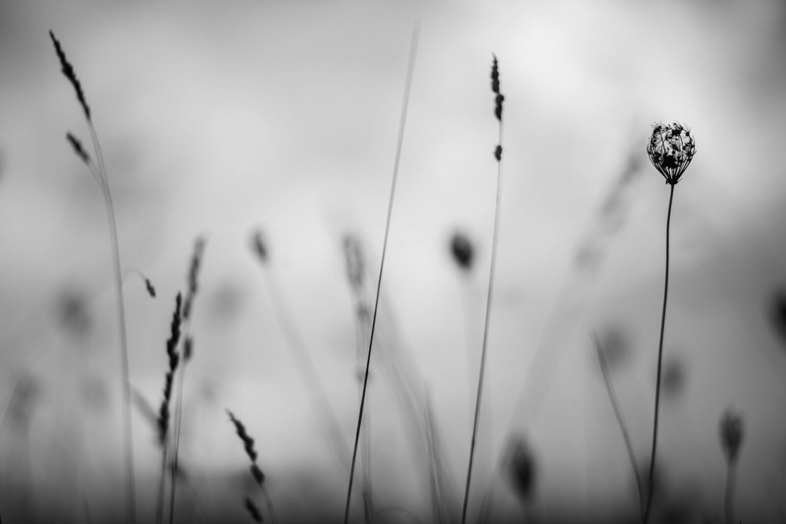 fine_art_photographer _018