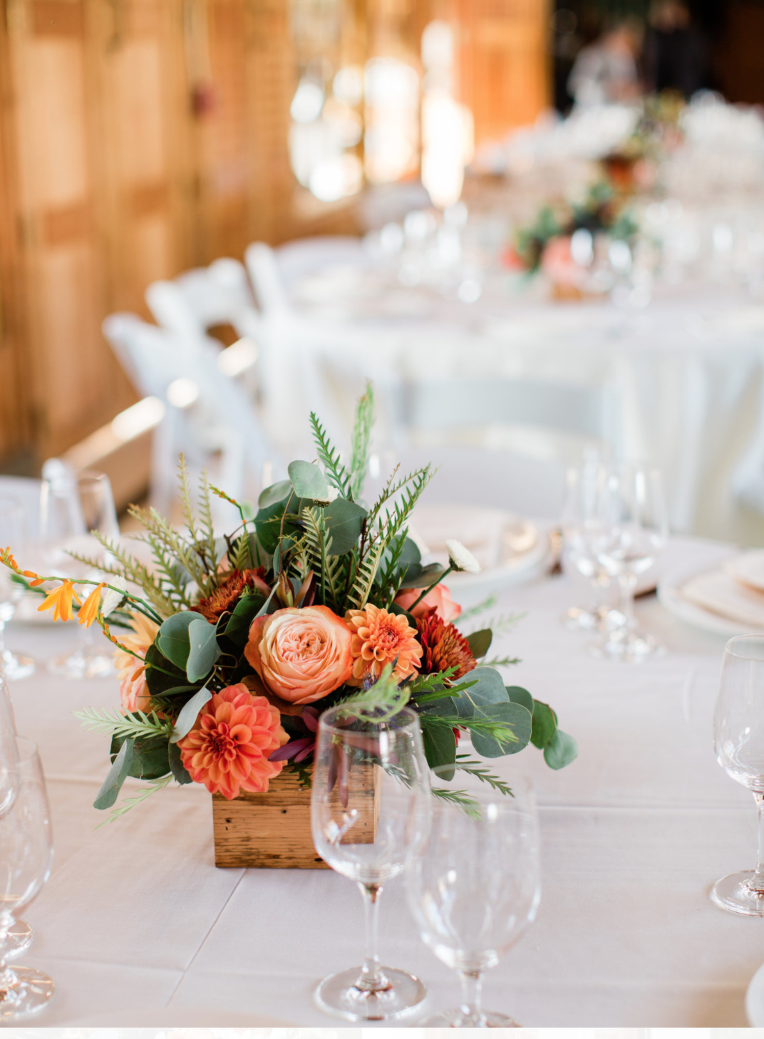 Screen Shot 2020-12-20 at 12.05.36 PM