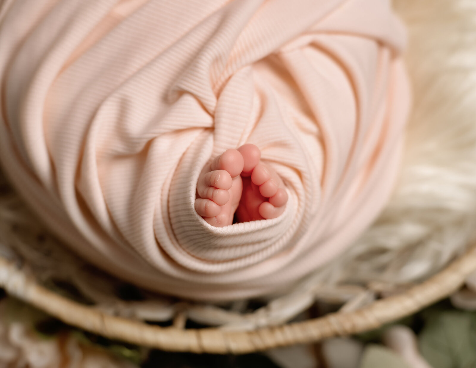 baby toes newborn photo