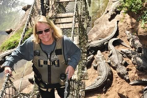 Disney Alligators
