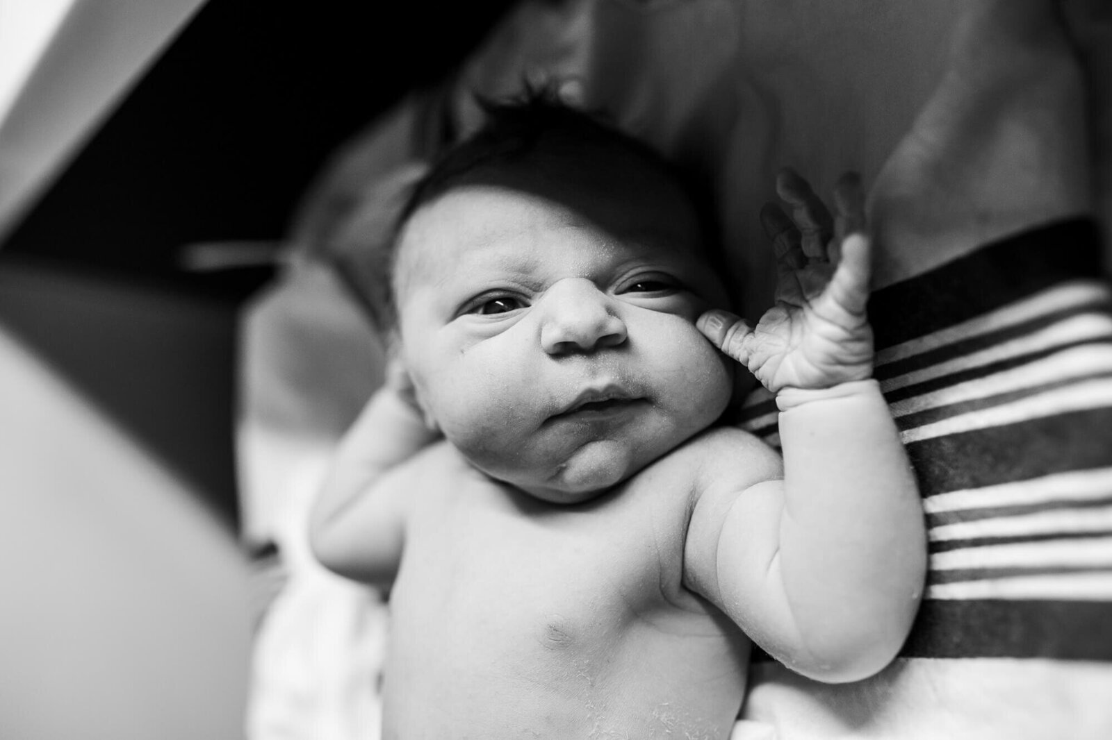 newborn-photography-02