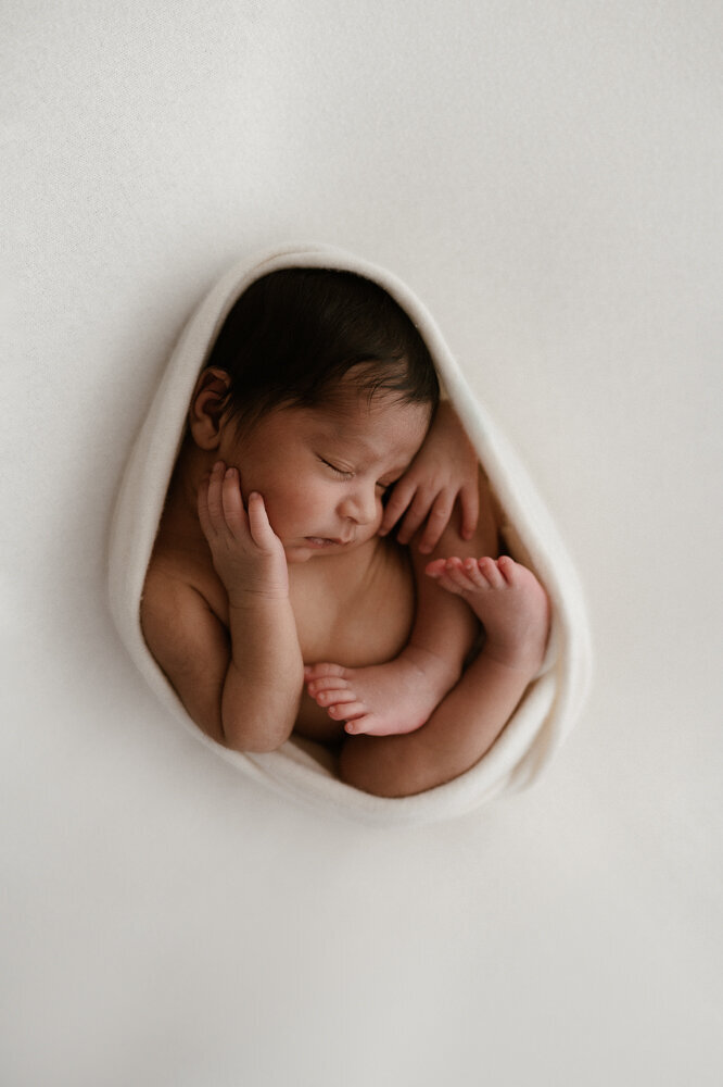 newborn session photos sydney family photography-76