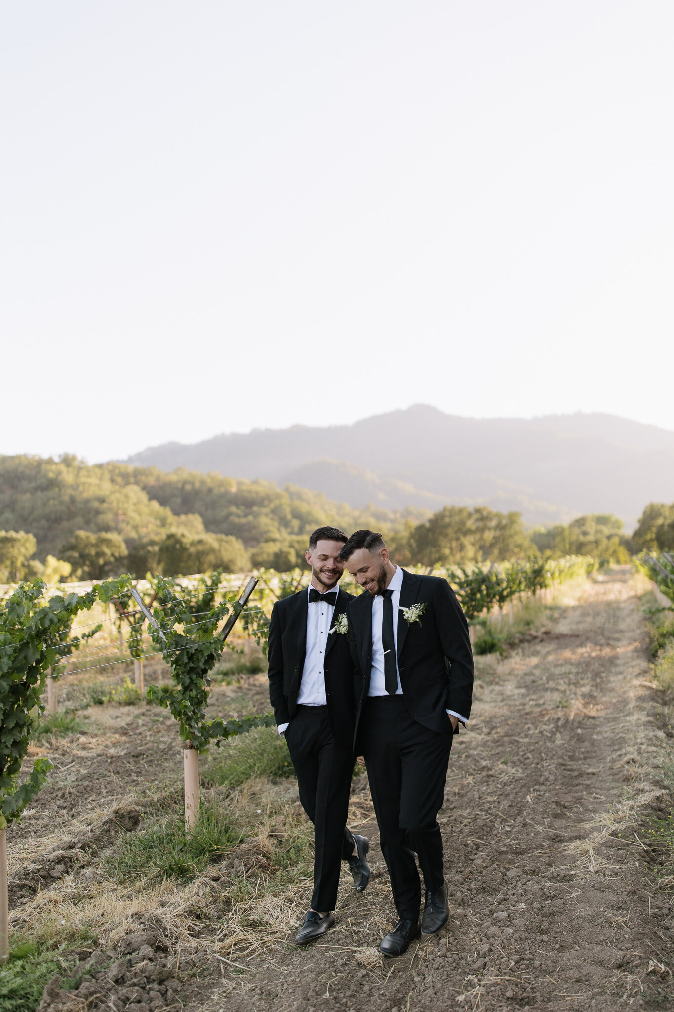 Grooms in vineyard taken by best Northern California wedding photographers