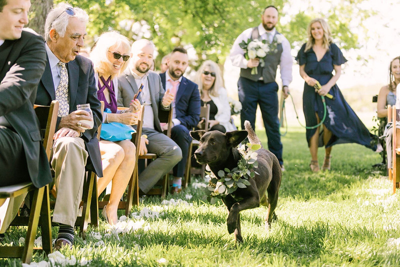 dog-running-down-aisle-outdoor-texas-venue