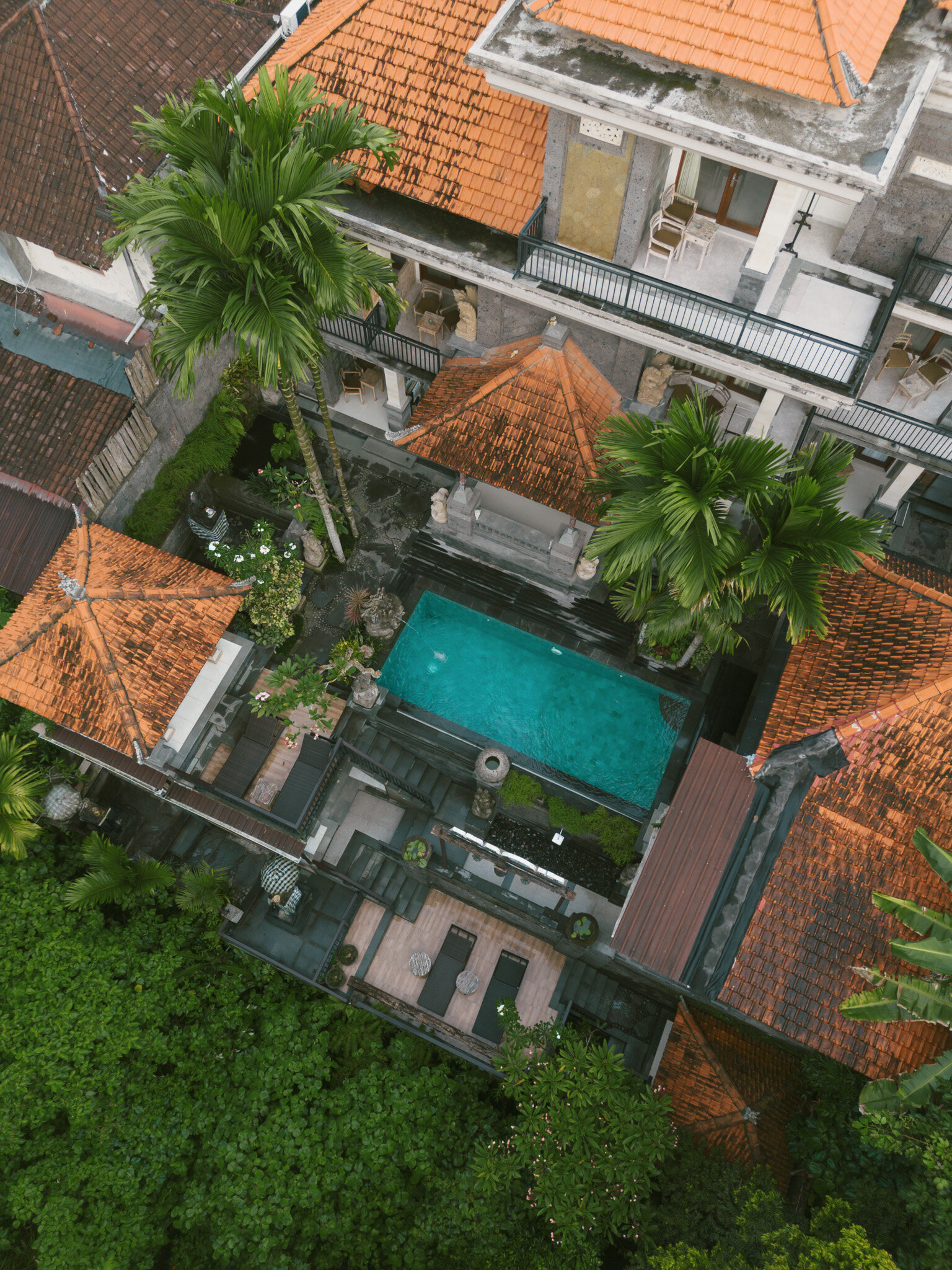 20241128-DJI_0051