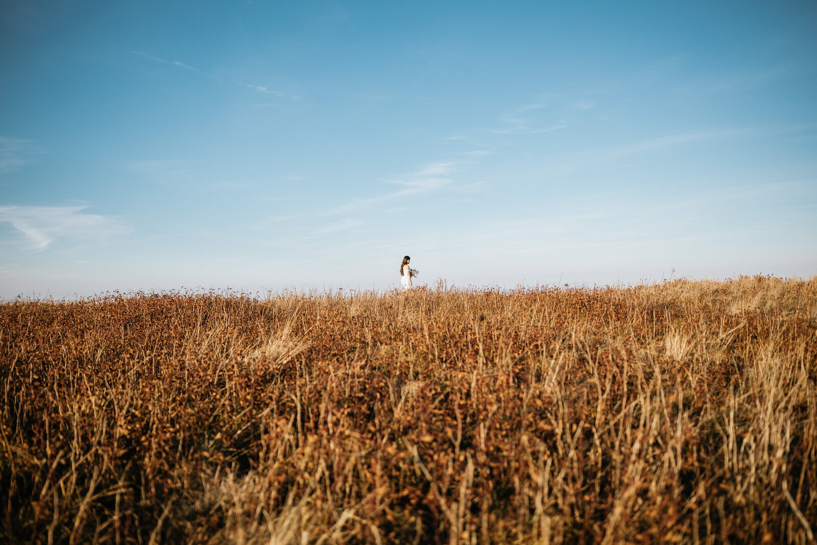 Roan-Mountain-Elopement-Photographer-Videographer-139