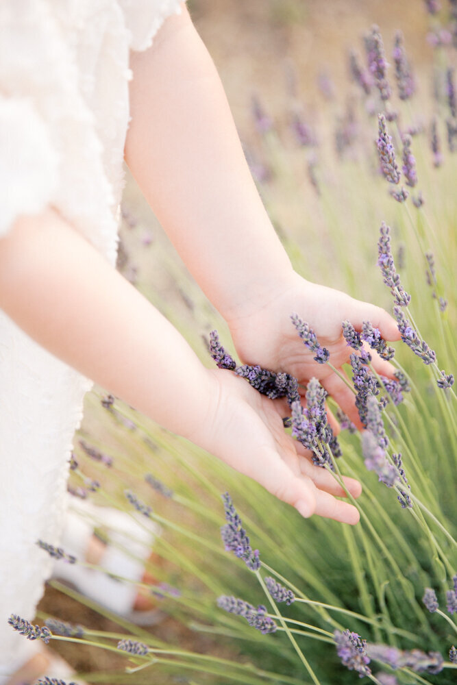 Brianna-Lavender - BLOG-7