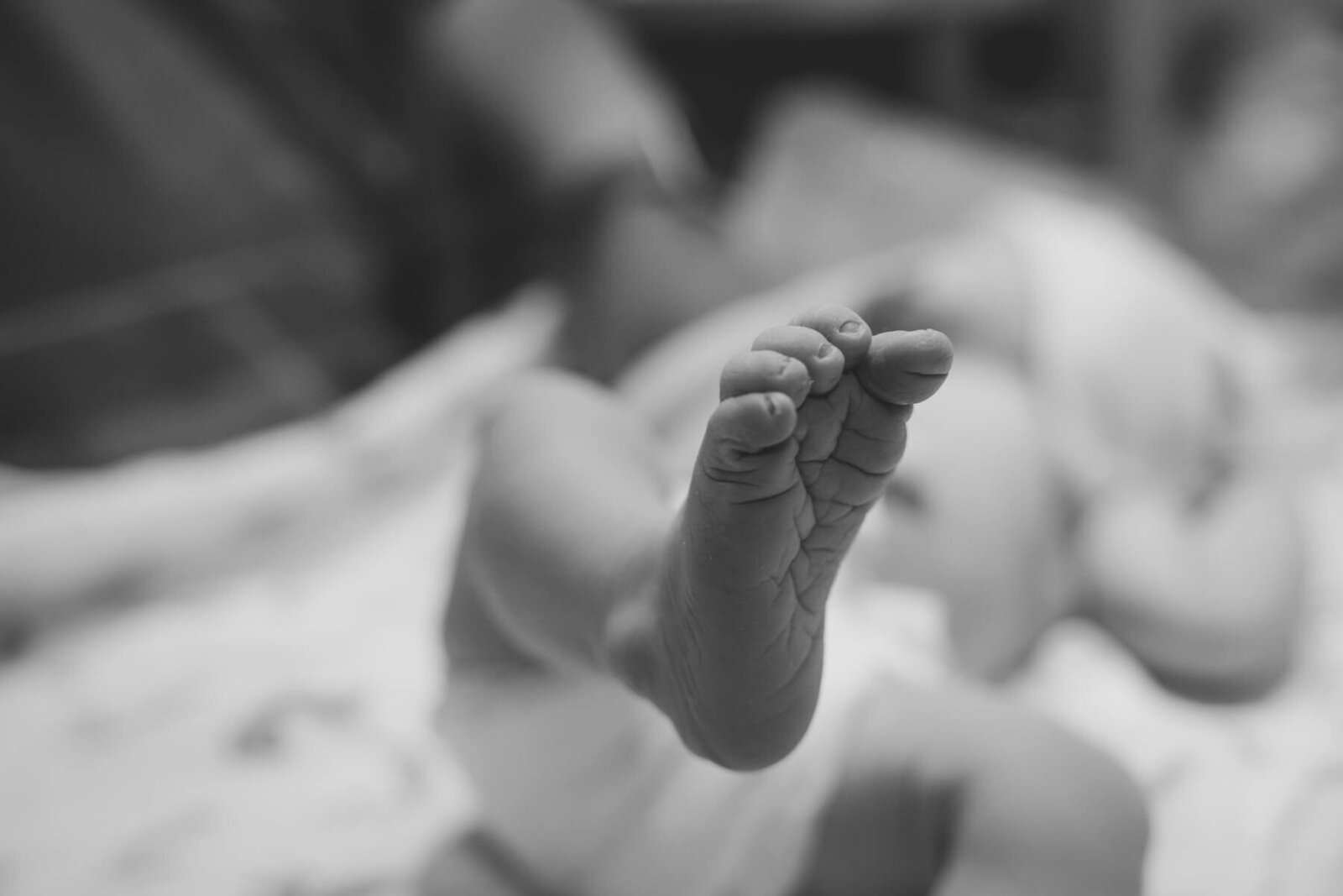 A close up of a perfect tiny baby foot moments after birth.