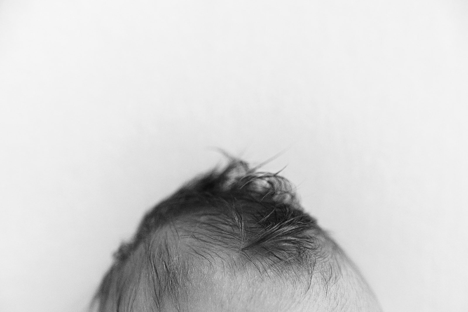 Minneapolis-Newborn-Photographer-Lauren-Page-12