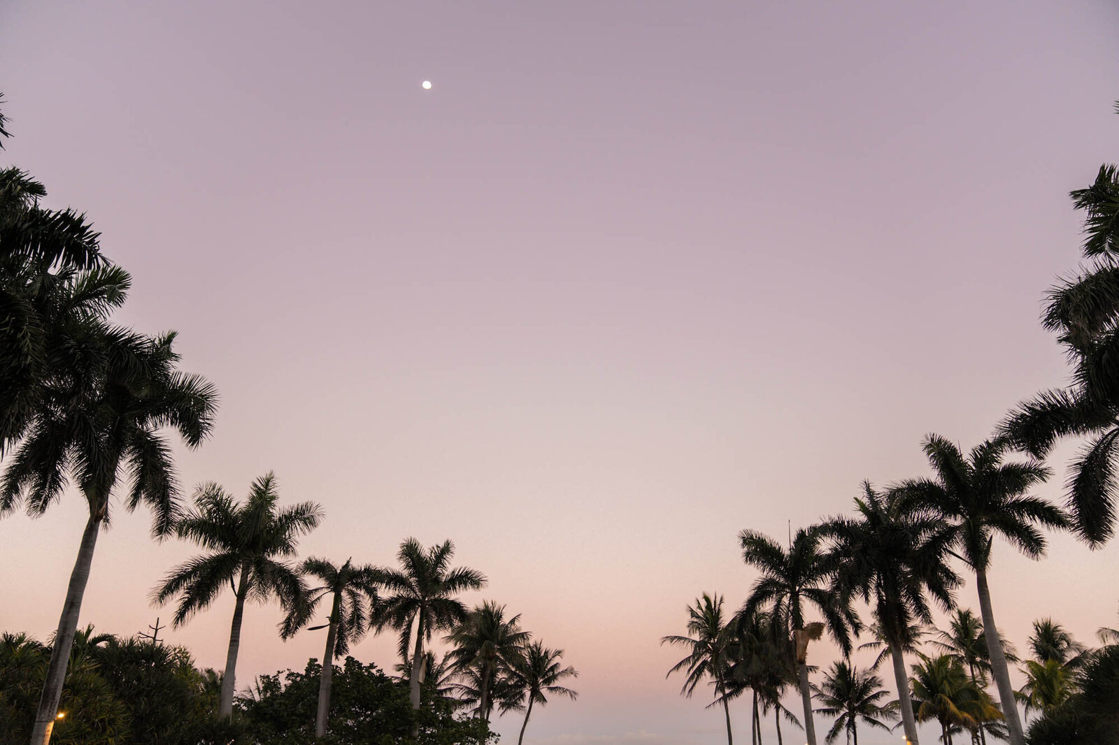 multicultural-miami-wedding-eventrics68