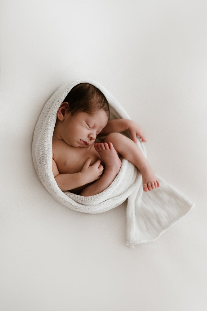 Sydney baby newborn photography shoot photo-38