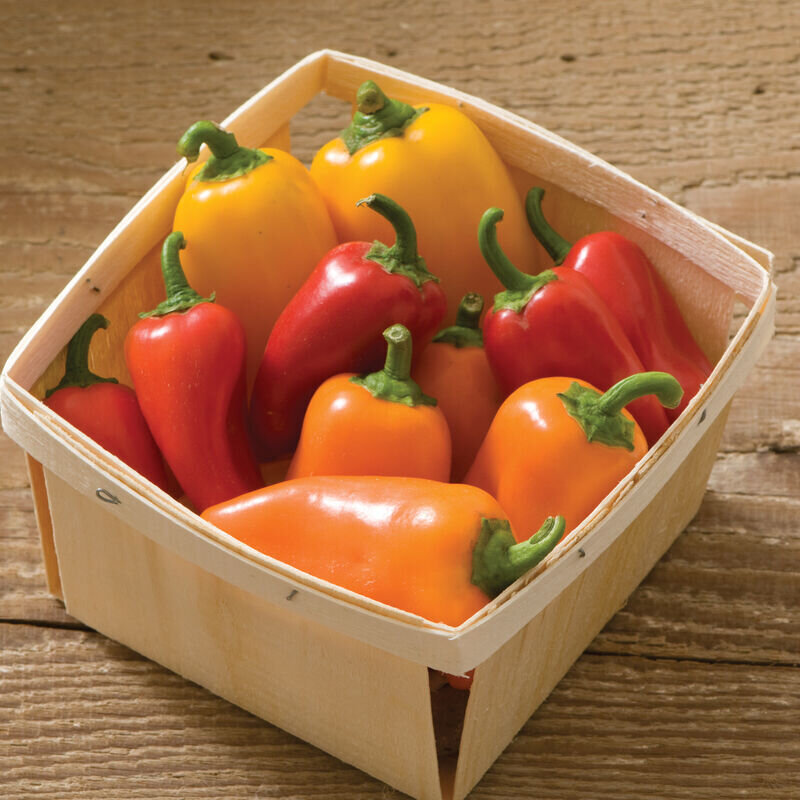 Pepper - lunchboxpeppersmix