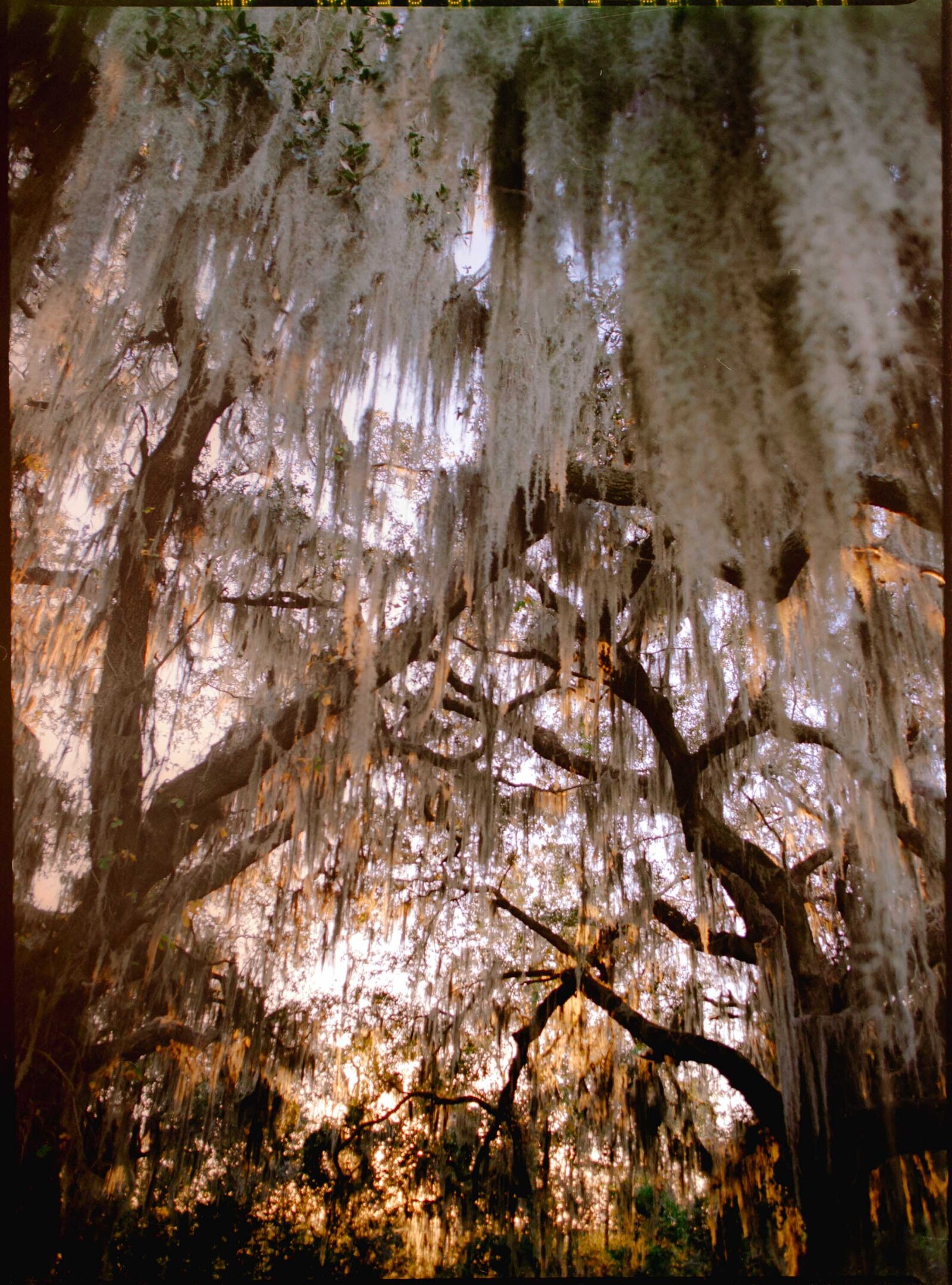 coastal-colorful-wedding-film-photos-jess-buckley-56
