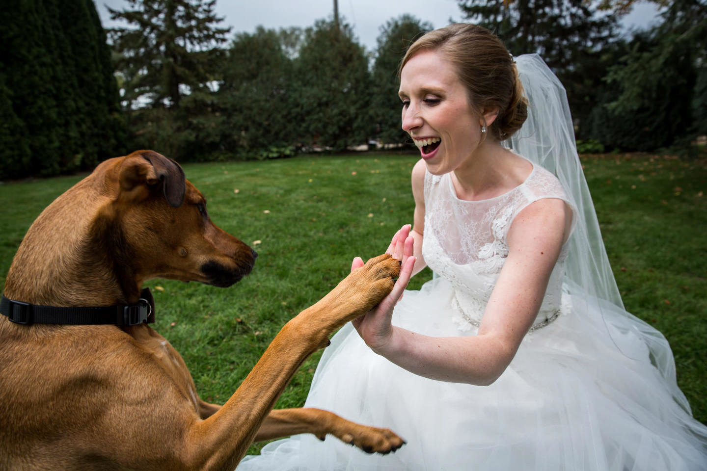bride and her dog sharing a highfive at wedding
