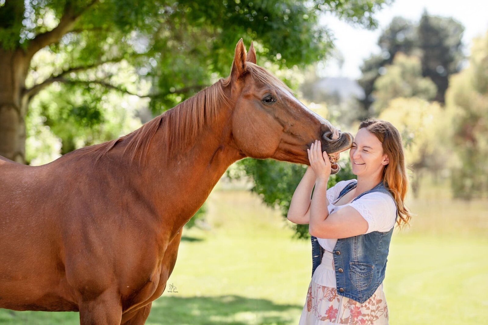 (46) NSW Equine photoshoot blooper