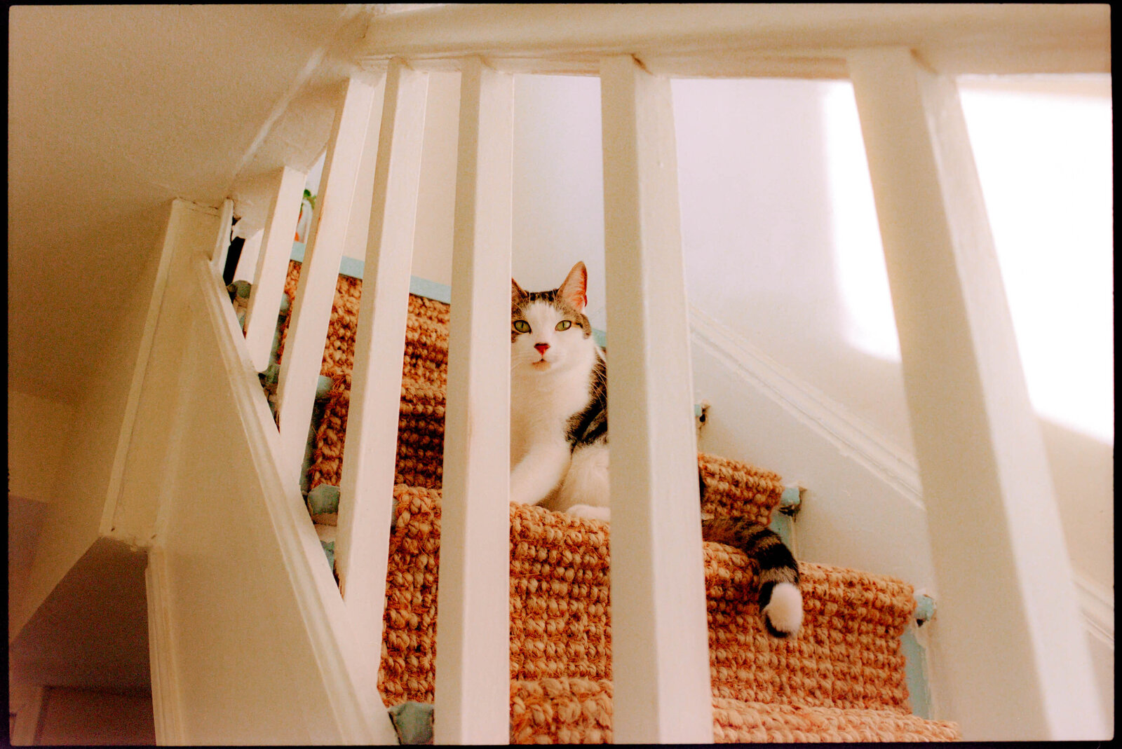 Wedding-Photographer-Film-Jess-Buckley-Philadelphia-17