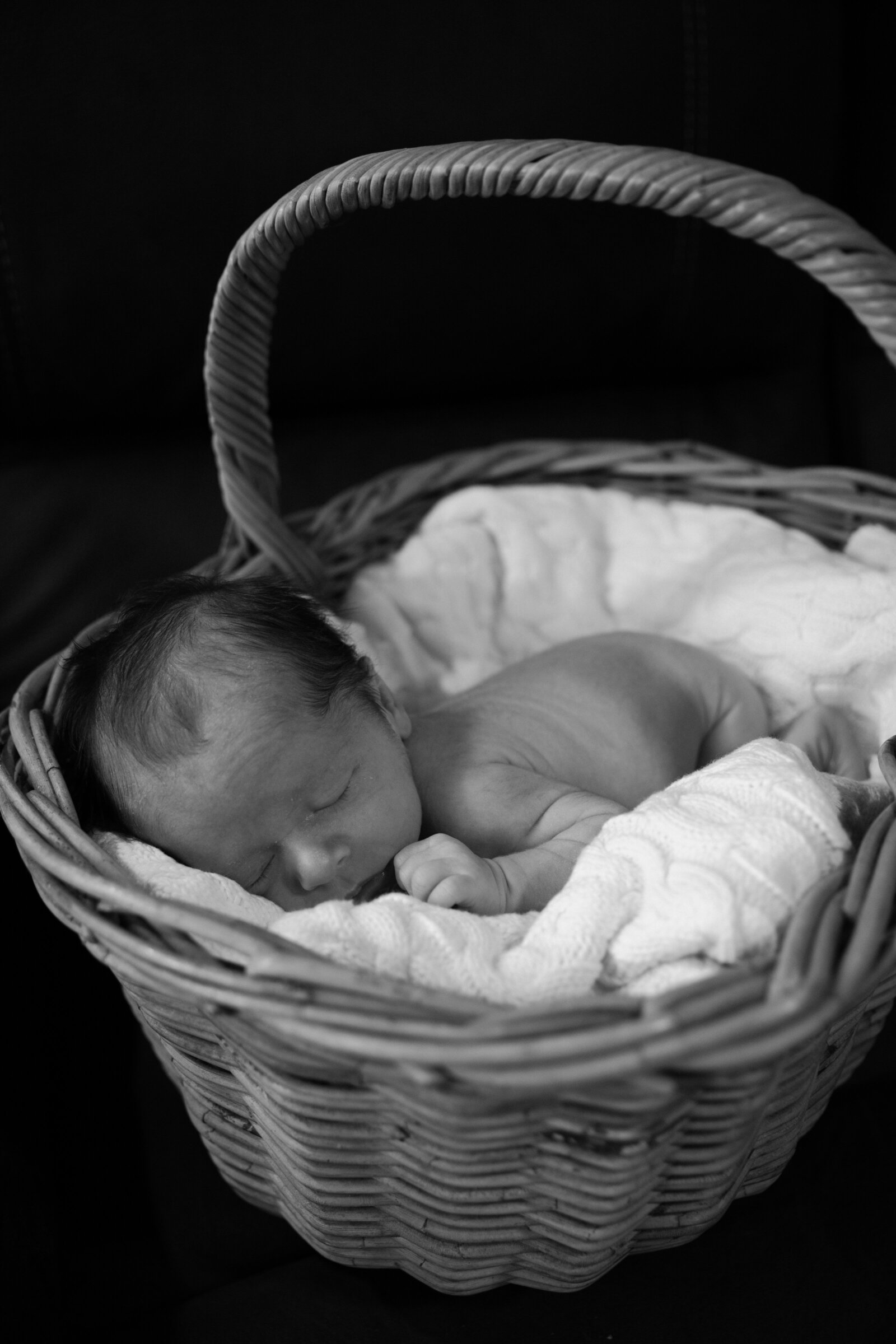 Newborn-236