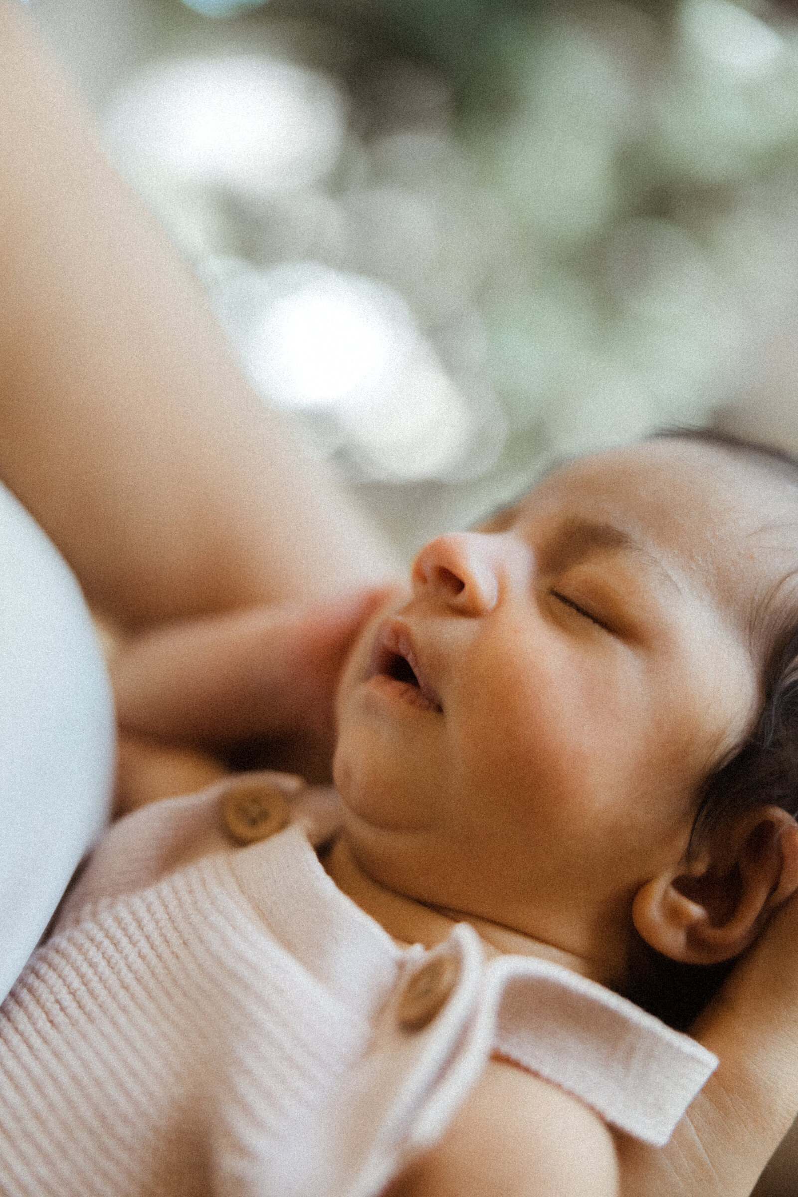 los angeles in home newborn photographer 6