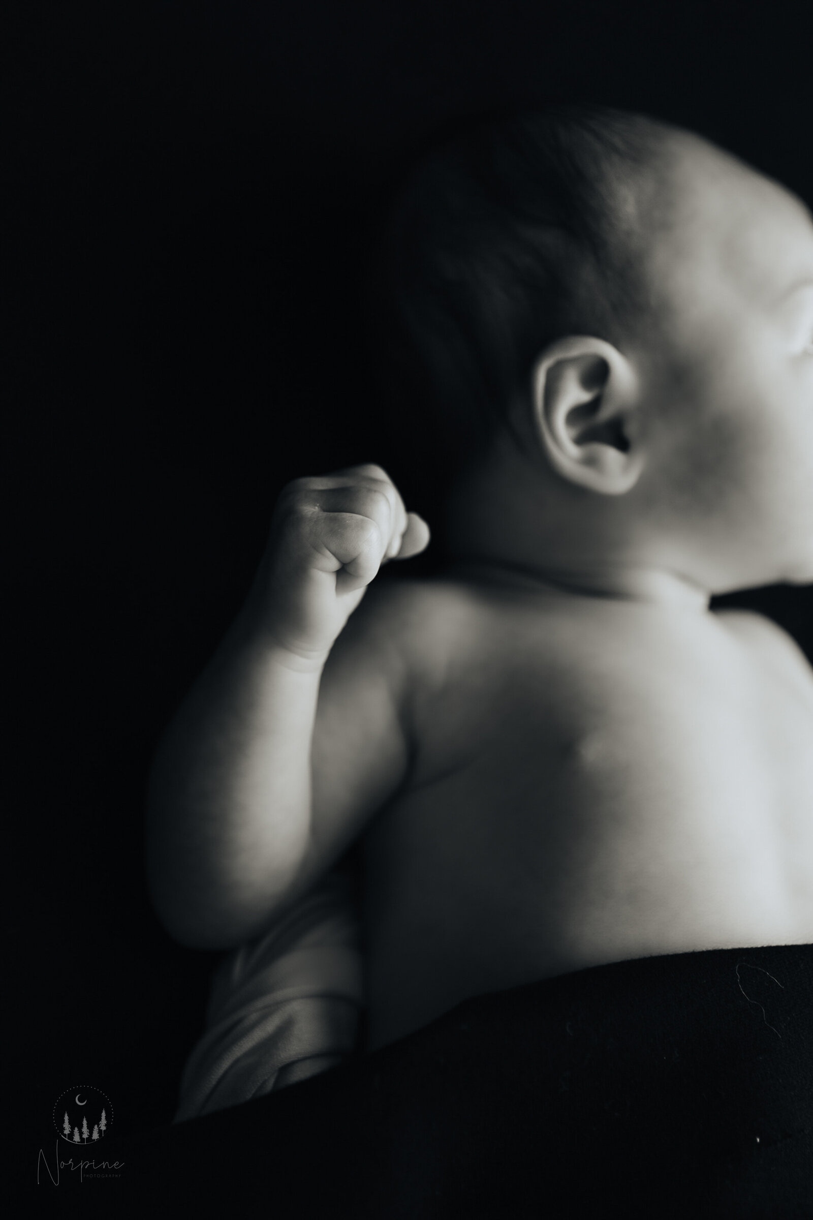 Black and white image of a newborn boy focused on his fist raised, lit from the right side