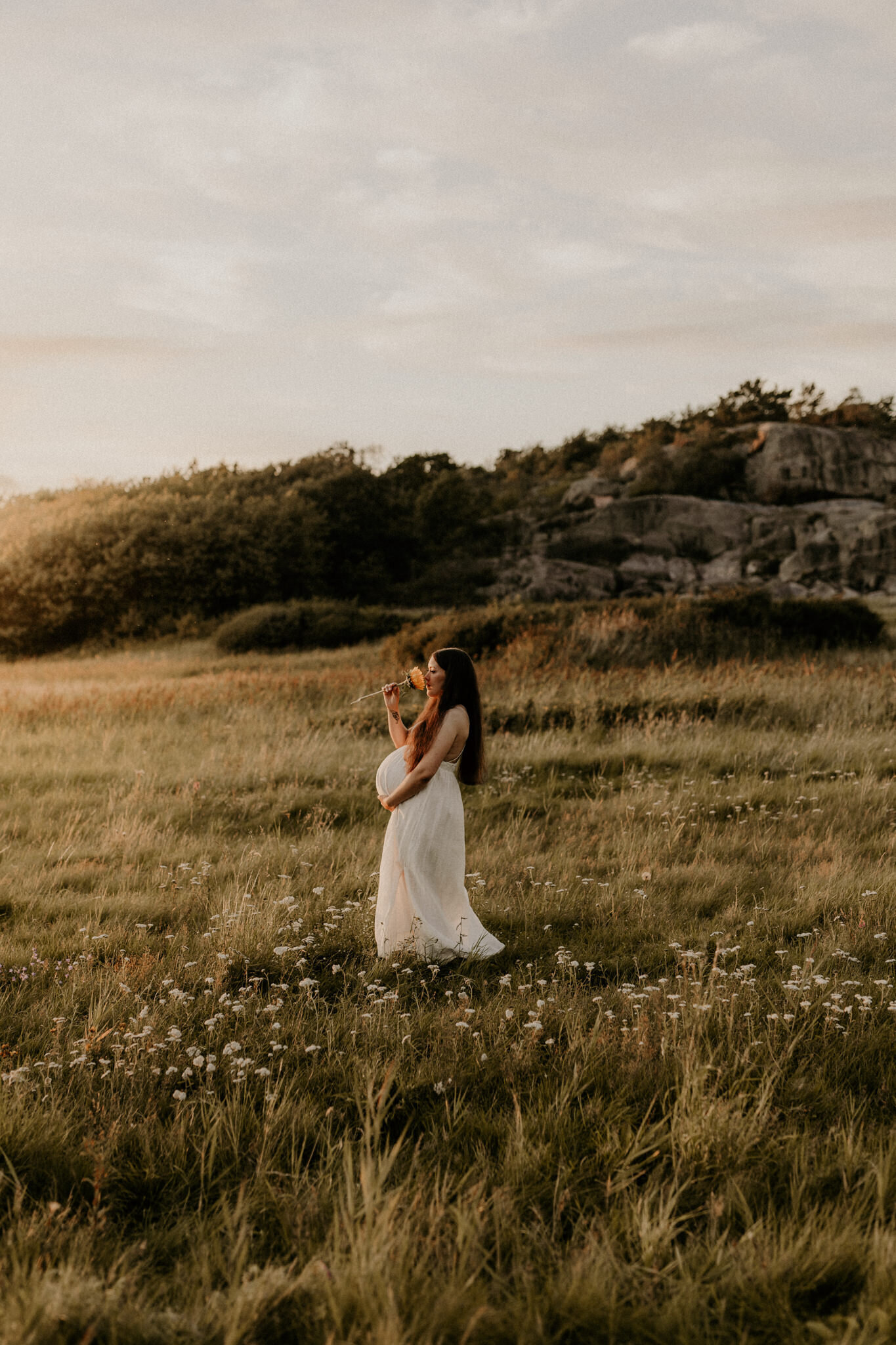 en gravid mamma luktar på en solros på ett fält
