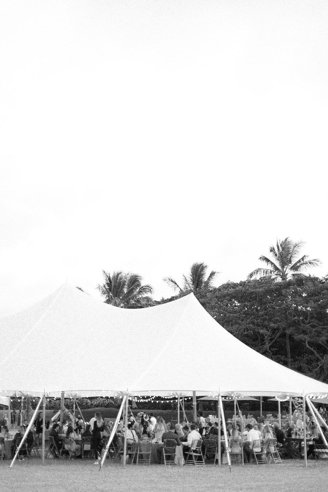 Alice Ahn Hawaii Wedding Photography - HAR-131