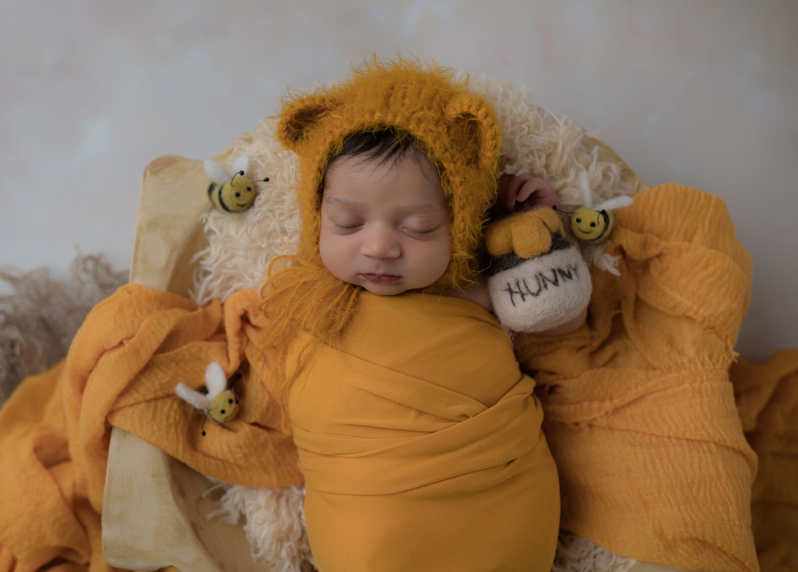 winnie the pooh newborn photos