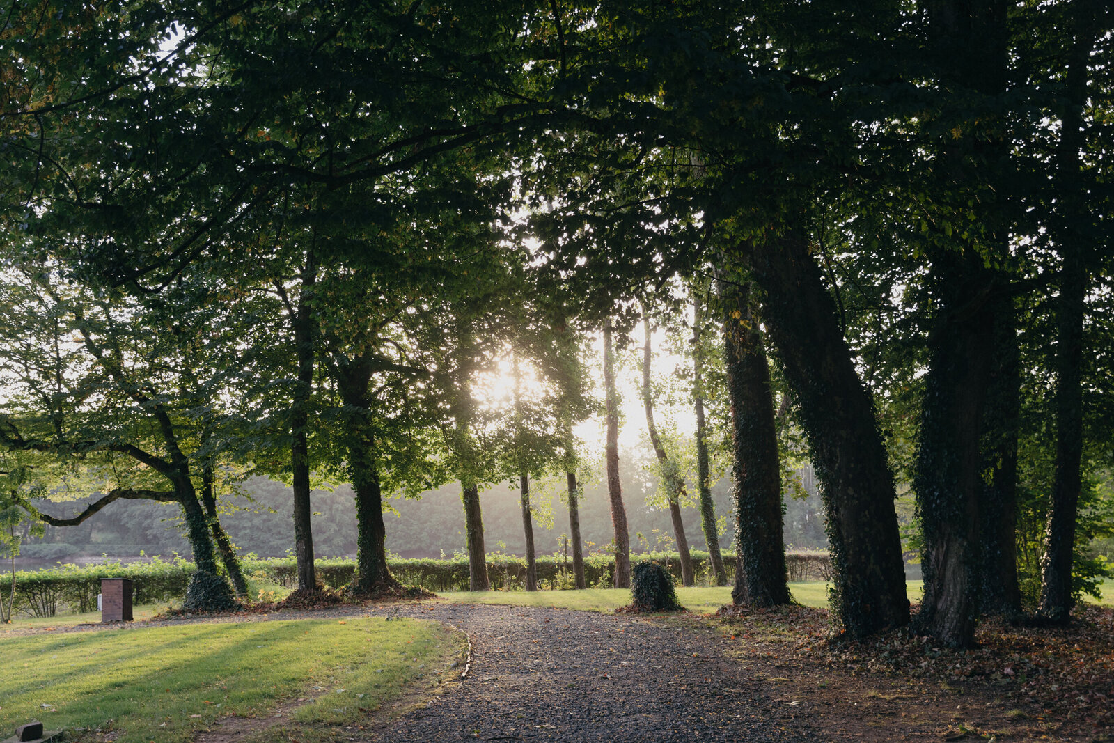 Film-Wedding-Photographer-Zara-Staples-Weddings9