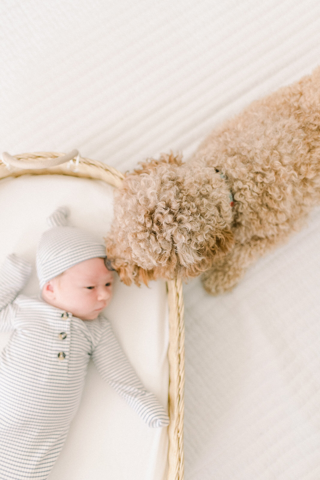 Kelly _ Patrick Newborn _23-75