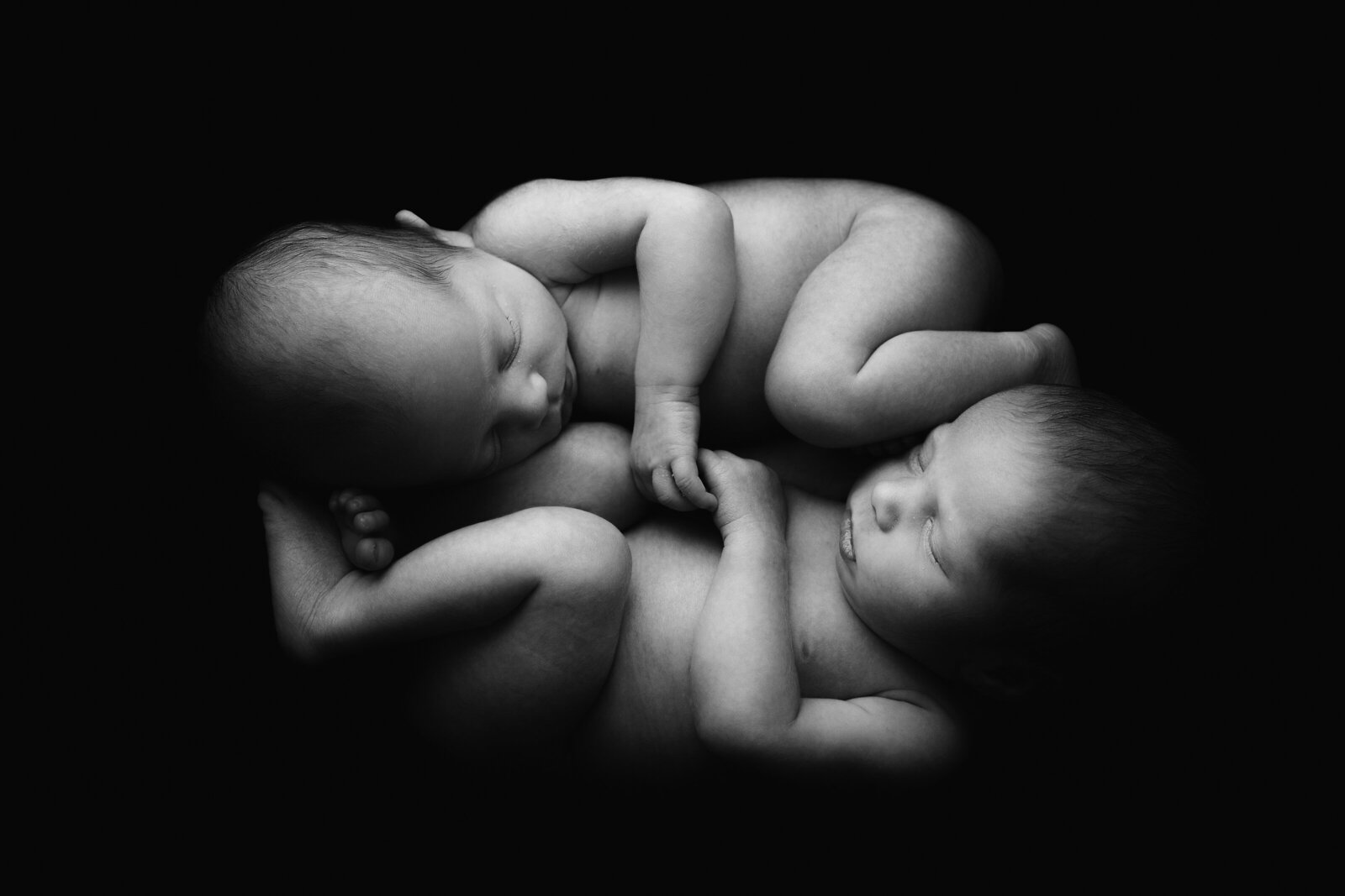 Collingwood-Newborn-Photography (64)