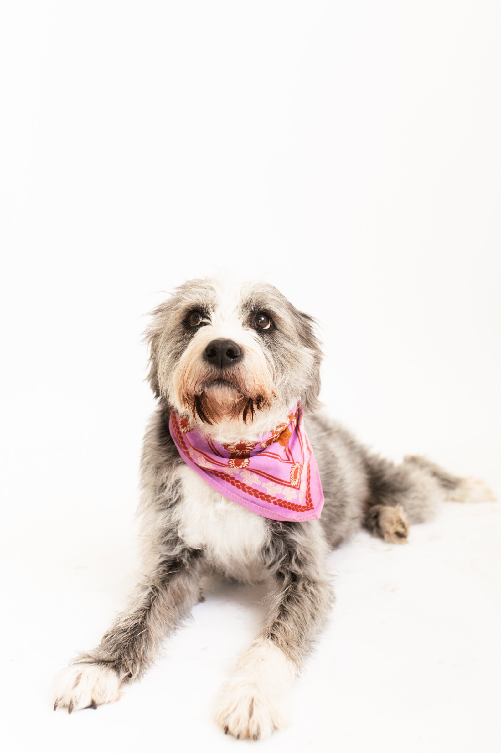Baton Rouge Studio Photography-23