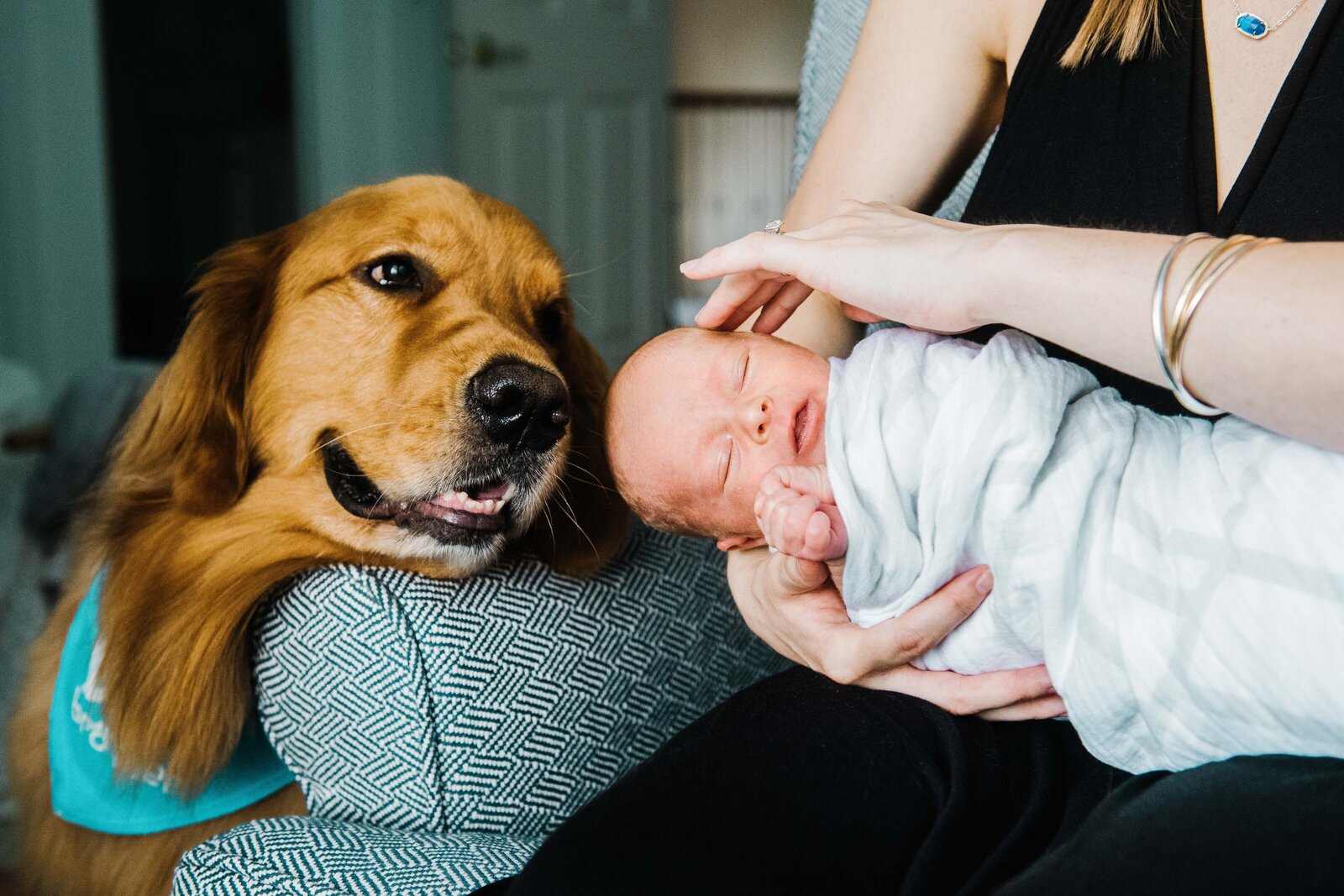 Newborn_Dog_Photography_Northern_Virginia_DC_Minikin_Photography