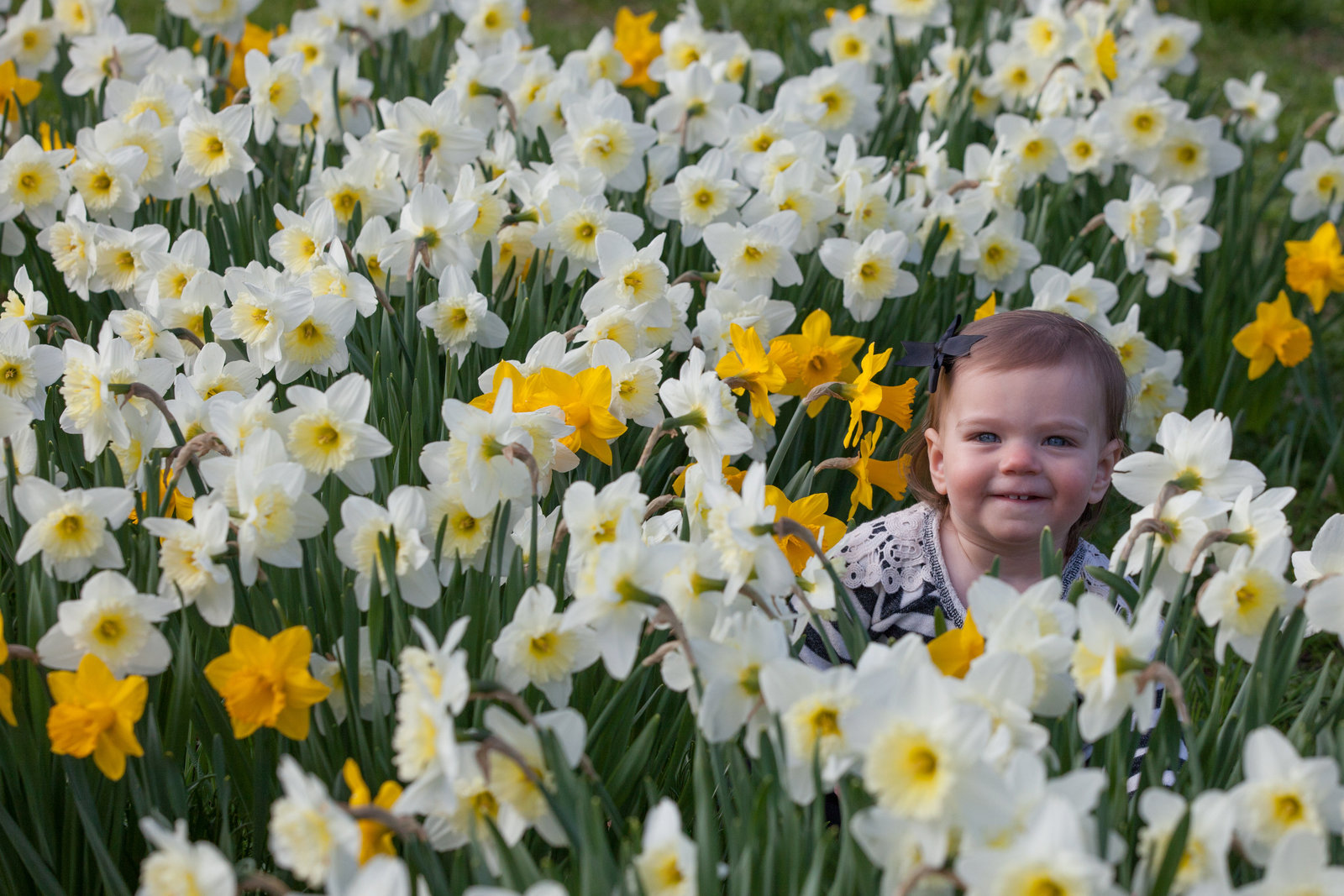 Portrait in Daffodils at The Florence Griswold Museum