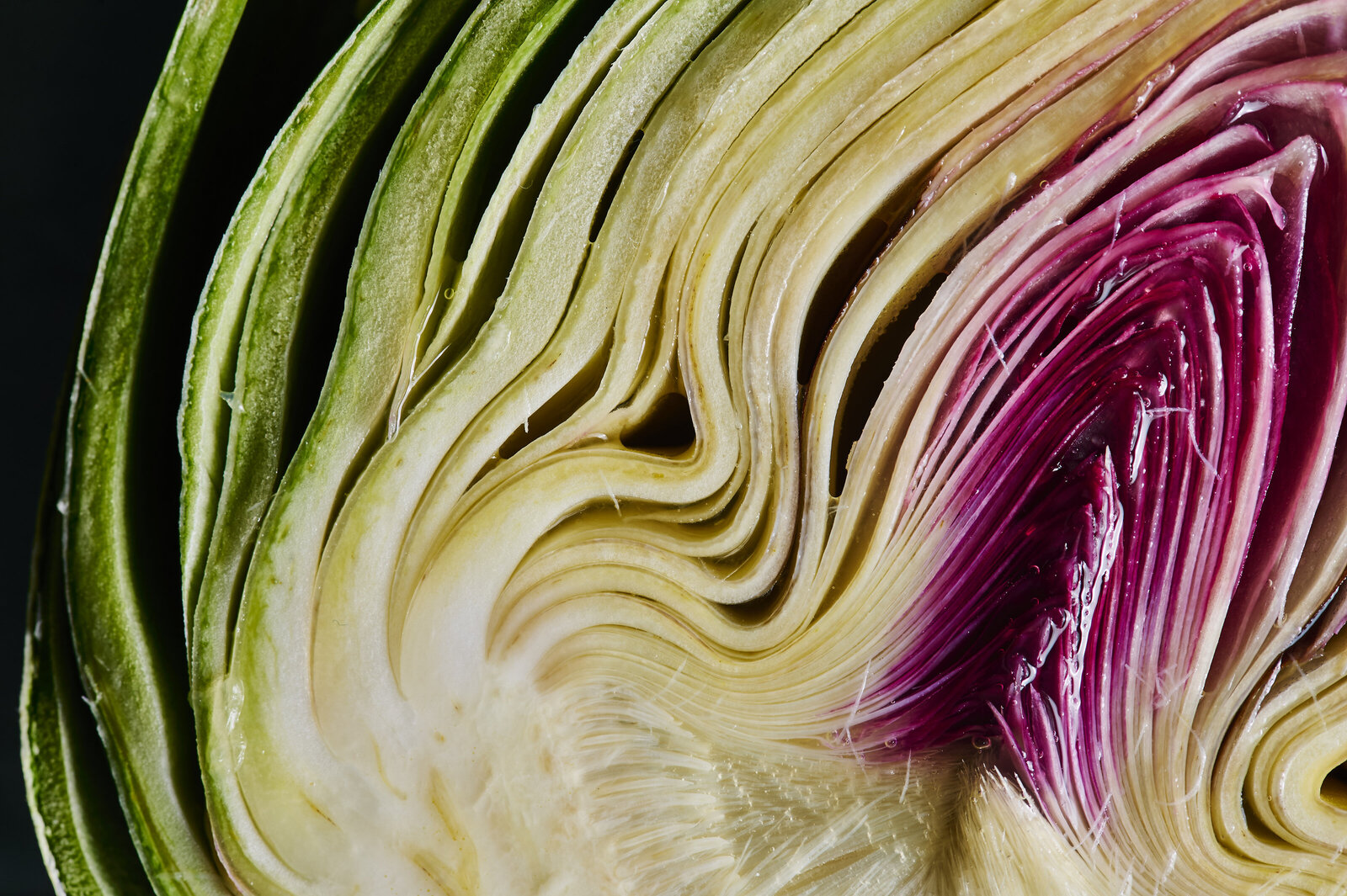 Fresh-Artichoke-Macro-Photography