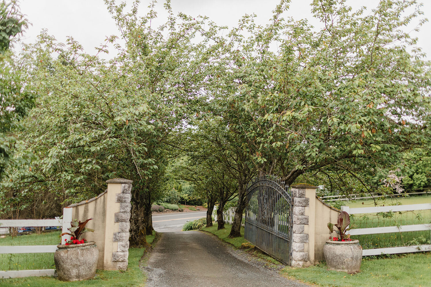 Tree-lined driveway entrance