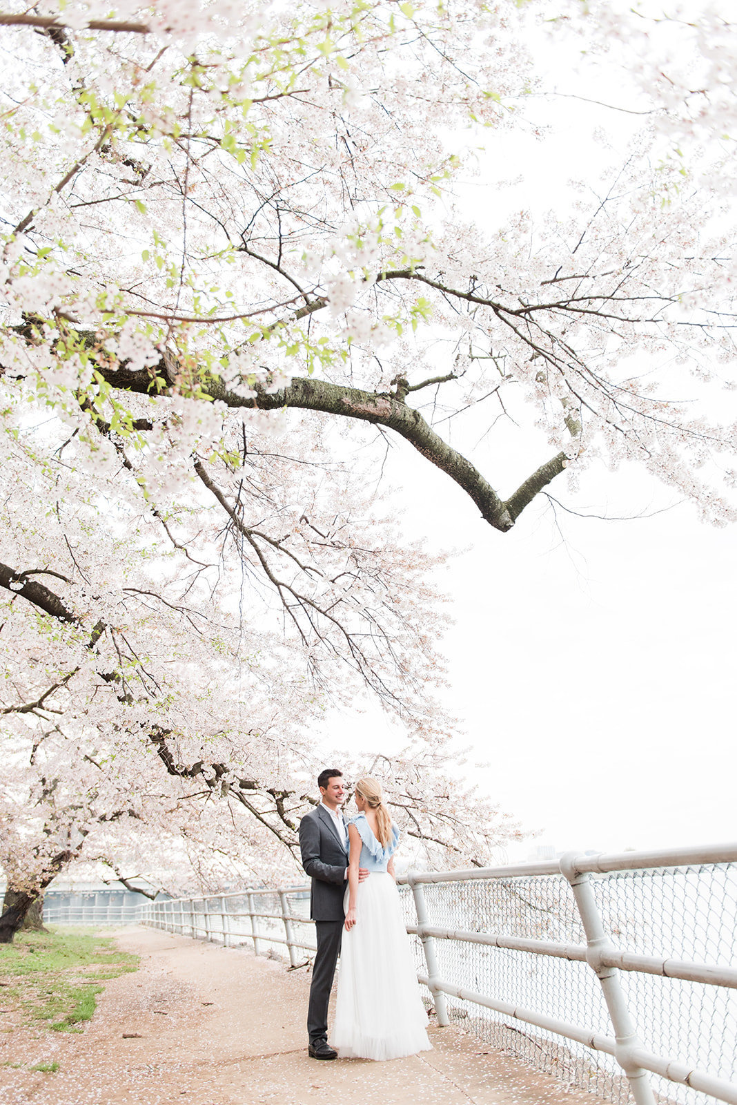 WASHINGTON_DC_CHERRY_BLOSSOMS_L+EJOFFOTO_-85