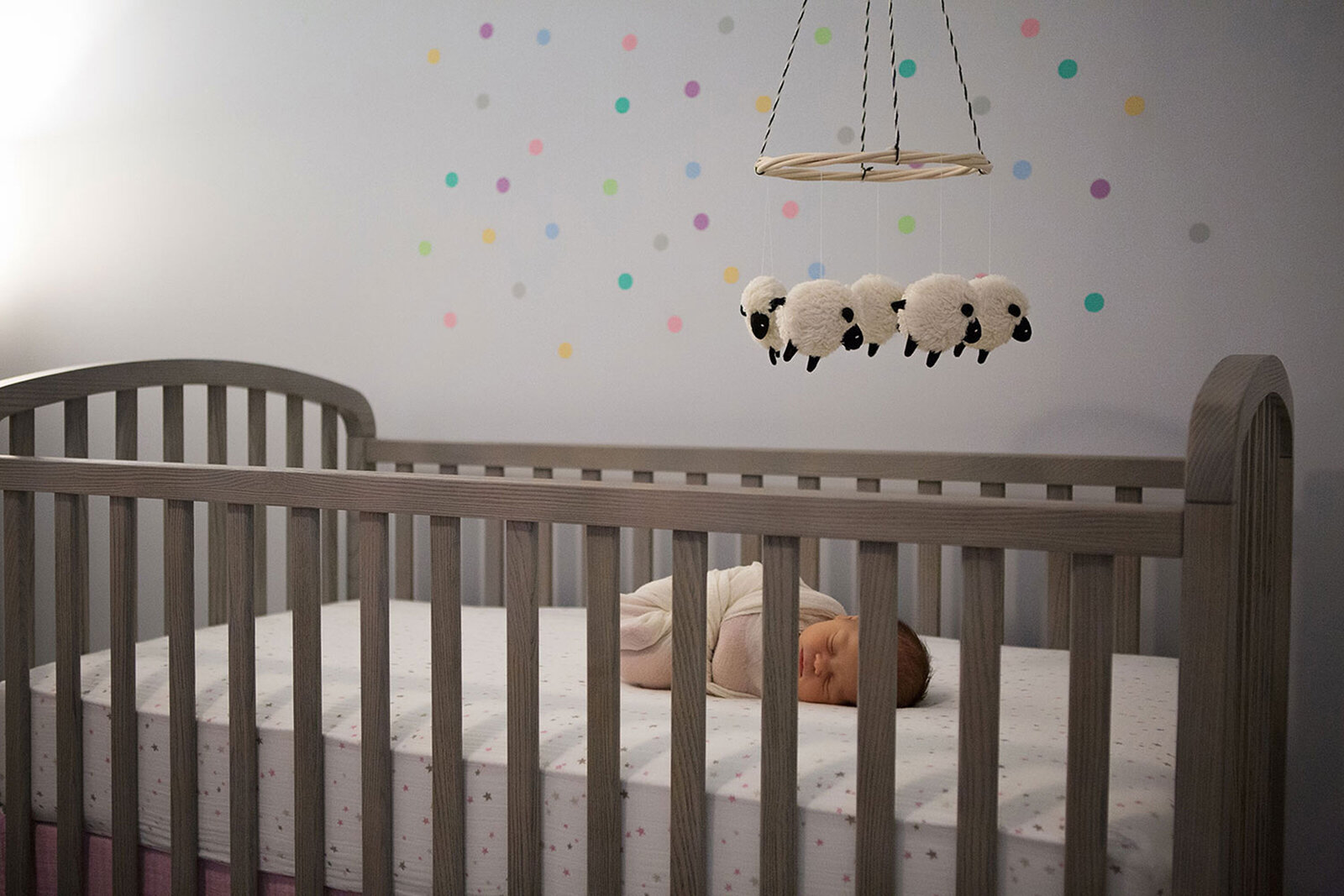 Newborn Photographer St Pete Tampa_Abby Evans Photography