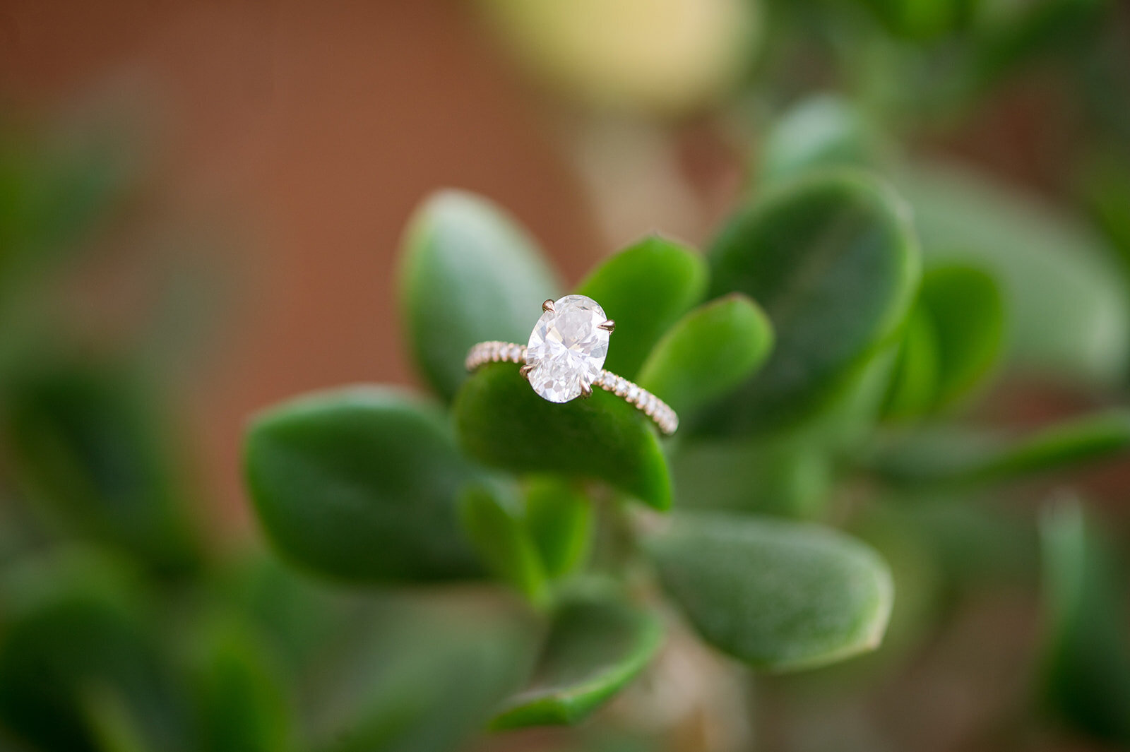 Erin + Nick Engaged - DMP 2024 -99_websize