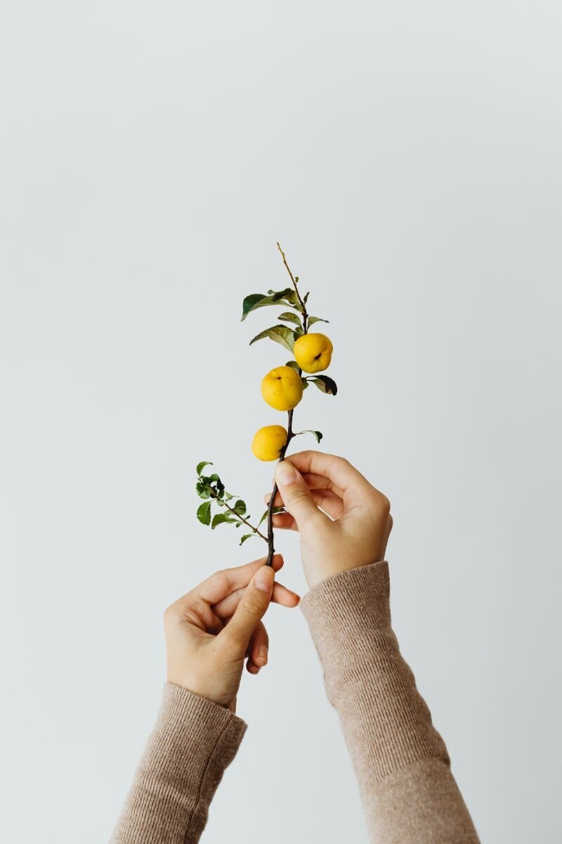 processed_kaboompics_a-young-girl-holds-a-branch-with-quince-22997