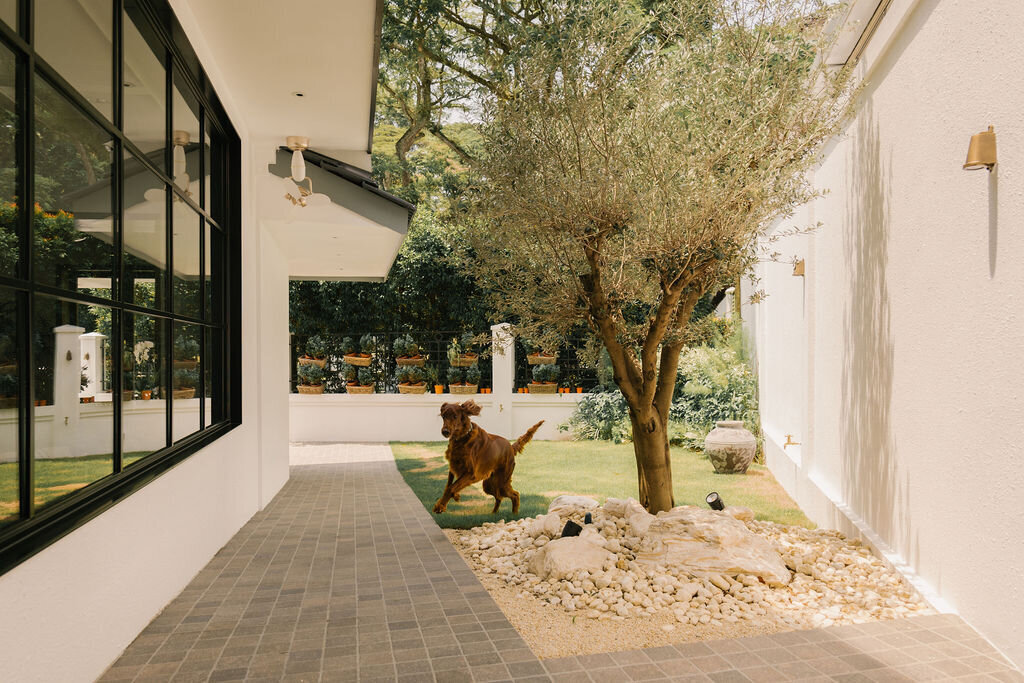 side view of house garden with brown dog