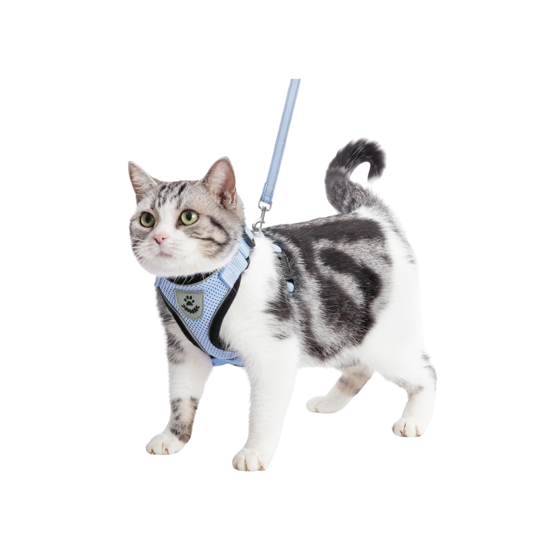 Sky Blue Cat Harness and Leash Set 