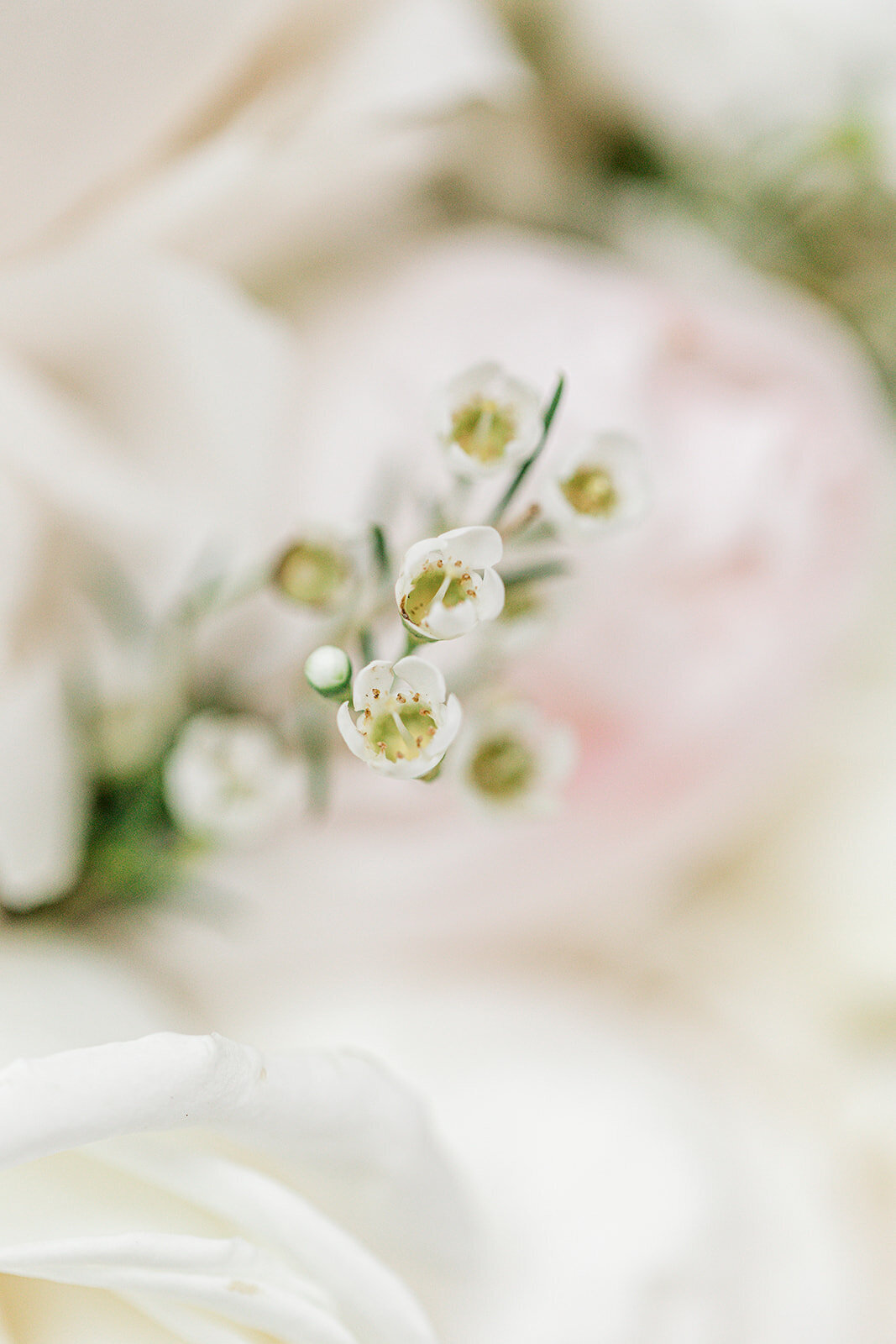 Forever Love Chicago Wedding Photographer-11