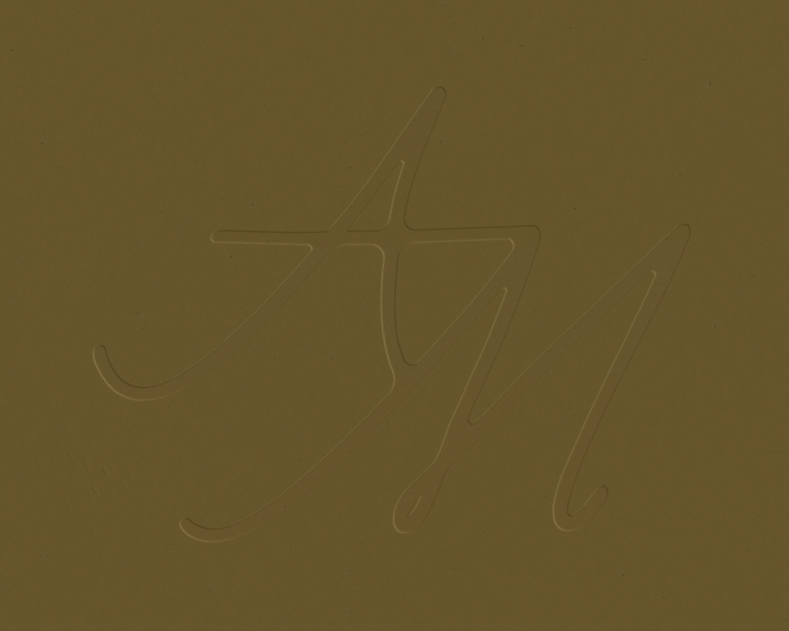 websiteportfolio_allisonmetzger-05