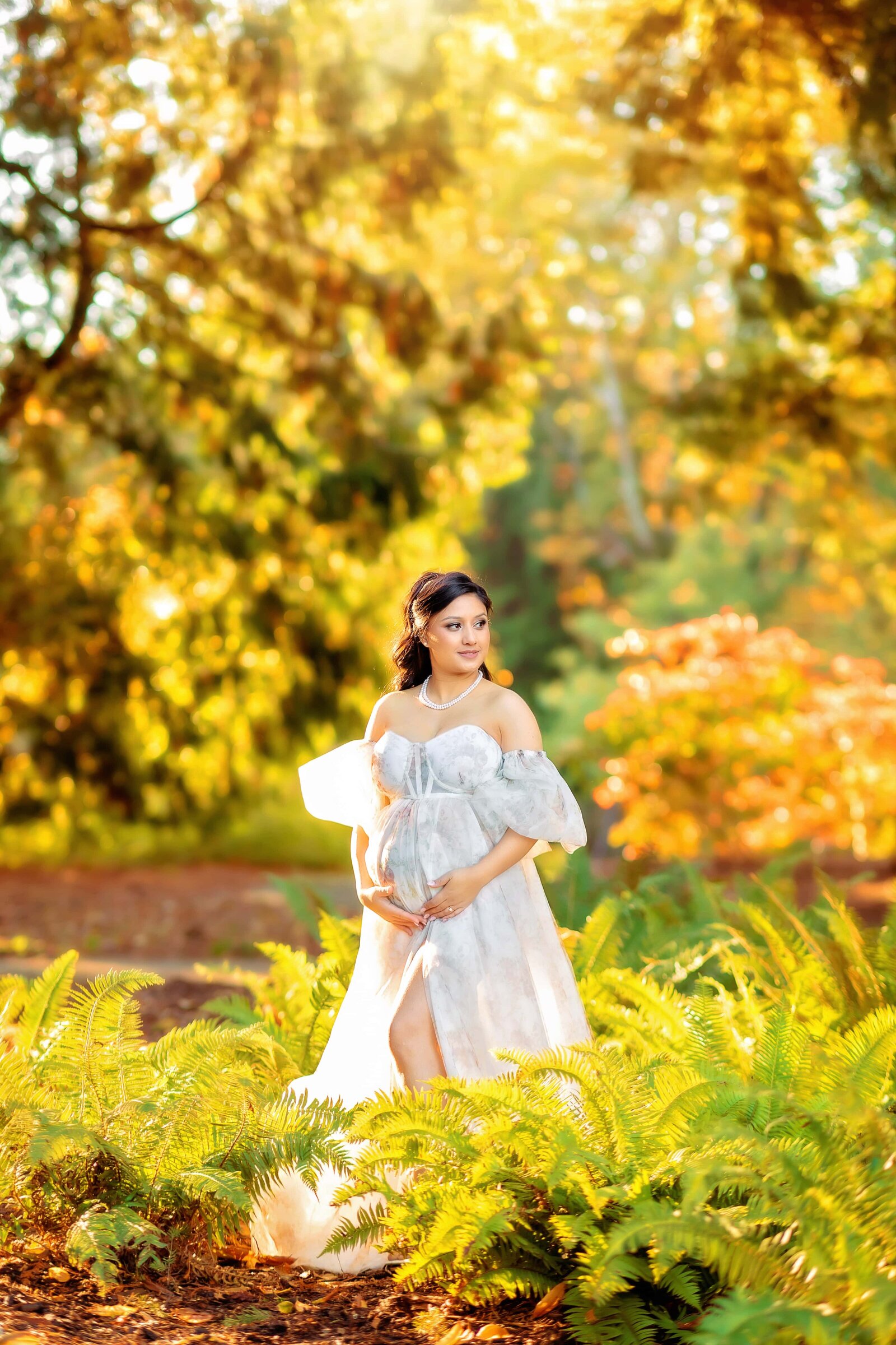 Indian Maternity Photographer Seattle