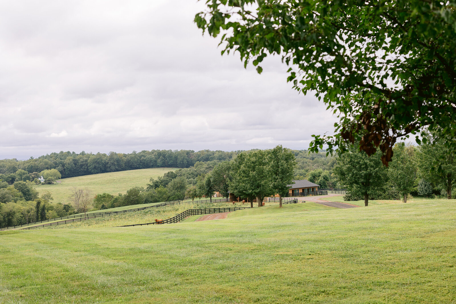 HighlandRidgeLindsayMackPhotography-0051
