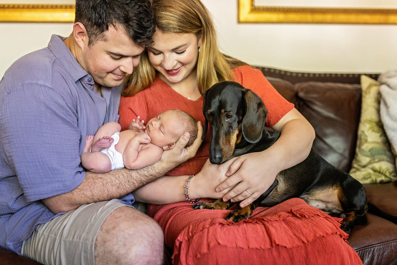 newborn-photos-with-pets