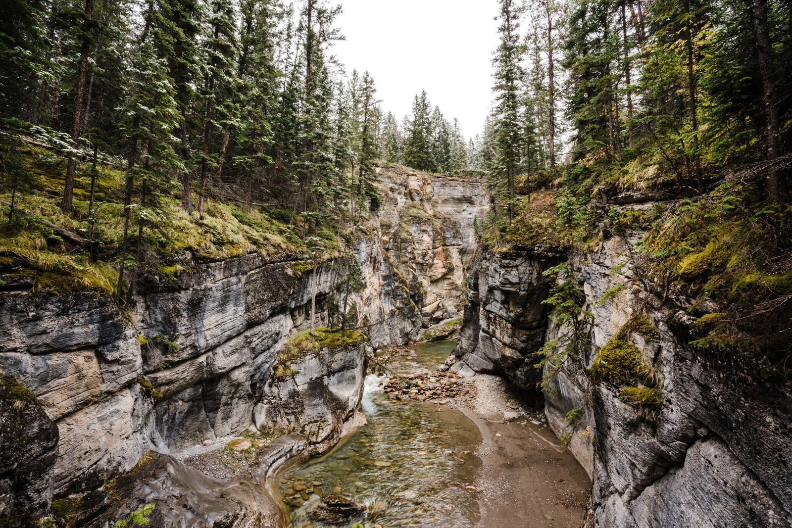 Banff_Jasper_National_Park_Sasha_Reiko_Photography-79