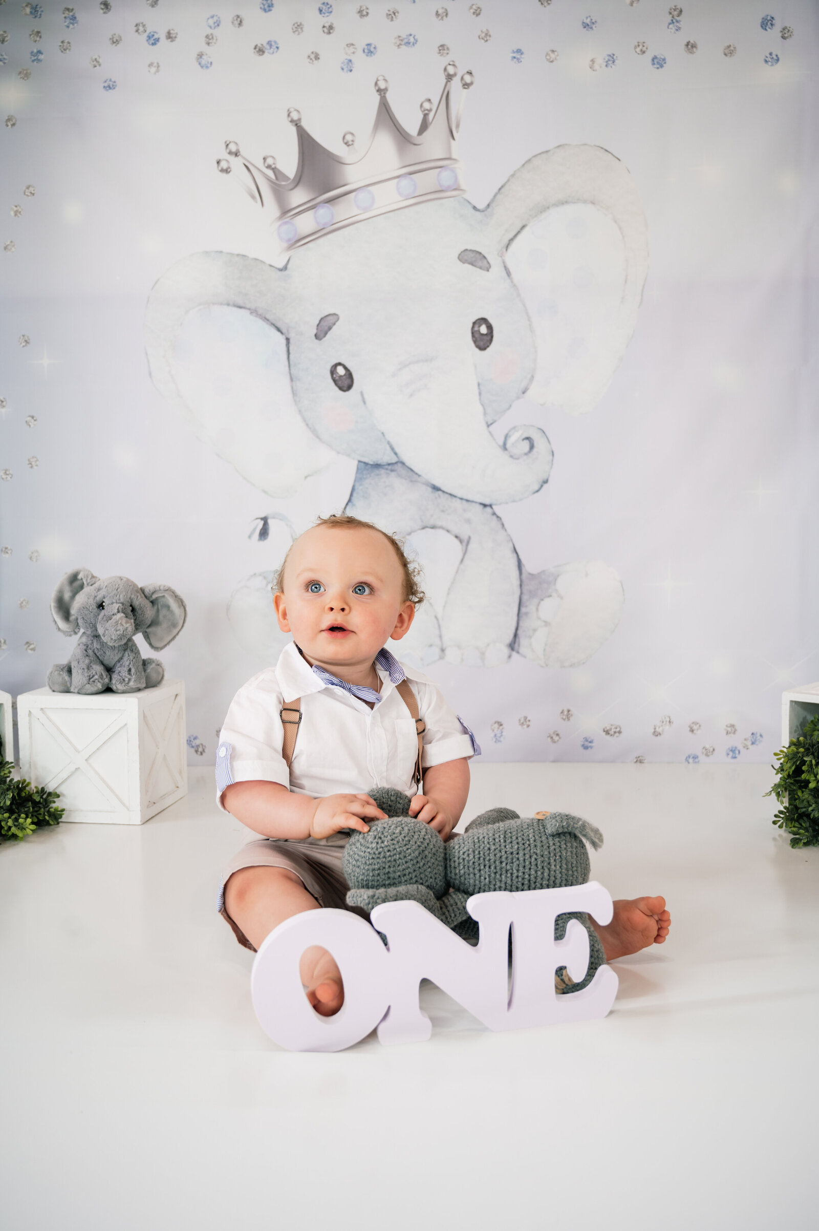 Baby boy celebrating his first birthday in Eaton Rapids photo studio