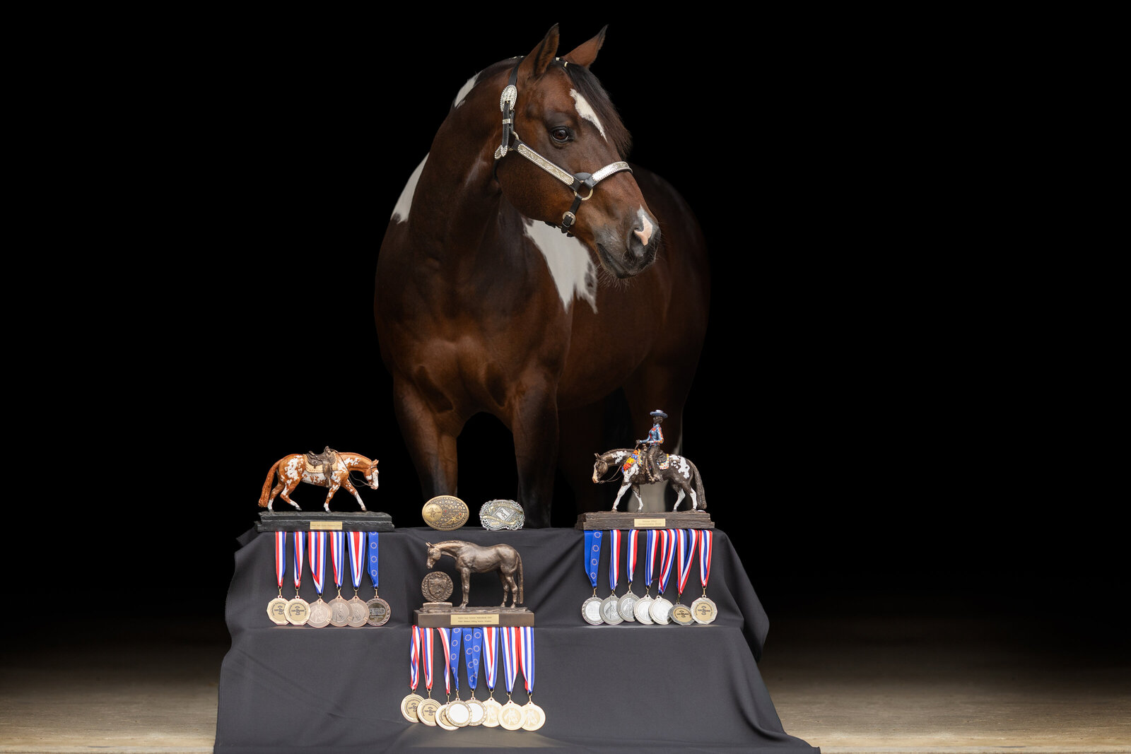 ClaudiaDermois-3222-bewerkt