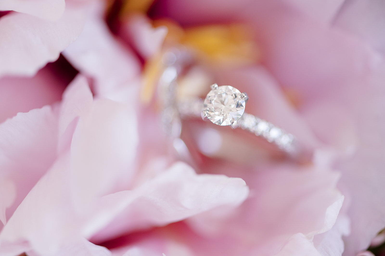 Ring photo in pink peony taken by the Best Boise Wedding Photographers